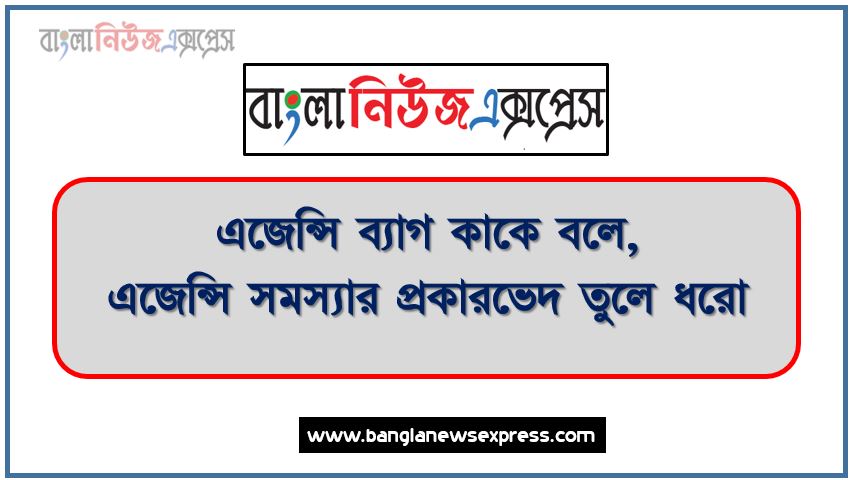 এজেন্সি ব্যাগ কাকে বলে, এজেন্সি সমস্যার প্রকারভেদ তুলে ধরো